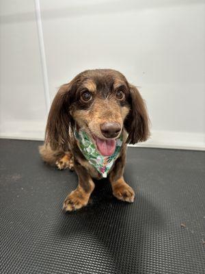 Jack is looking so handsome with his new do!