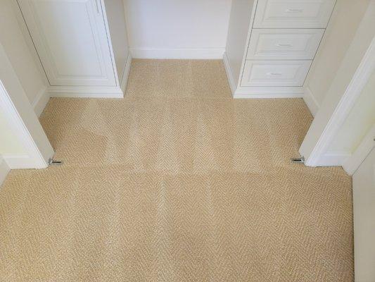 Recent carpet cleaning work.