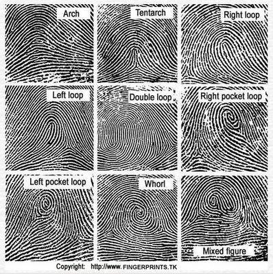 Biometrics Fingerprinting Plus