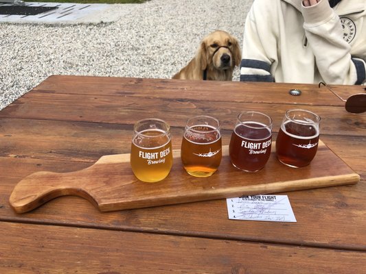 Nice flight of beer and our dog Harper