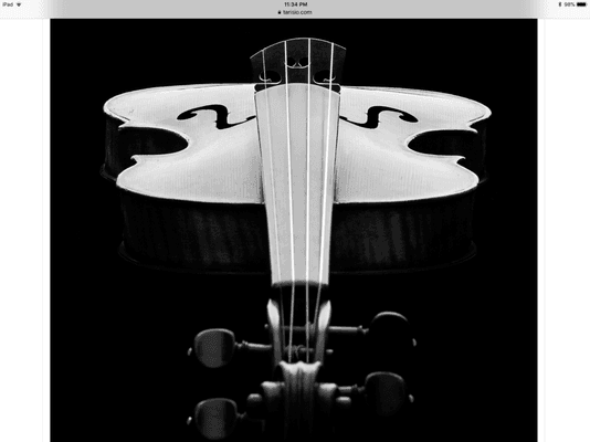 String Theory Violins, LLC