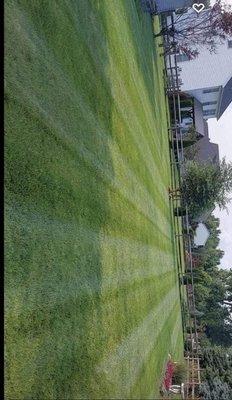 Mowing stripes