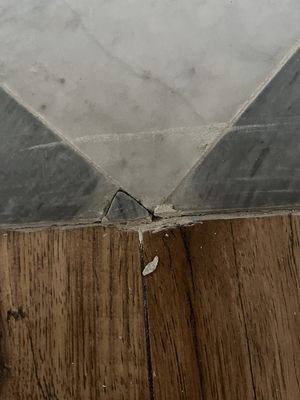 $2300 floor job... broken marble