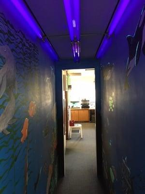 Our blacklight fish tunnel