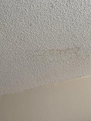 Puke stain on ceiling