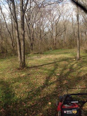 Before picture of a customers back yard for just mowing