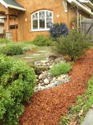 Front yard habitat garden on the Westside of Santa Cruz.  A perfect resting stop of nature.  Little water usage too!