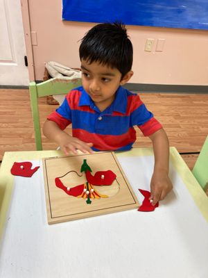 Parts of a flower being assembled by a young child, while older children would trace & label calyx, corolla, pistil, and stamen.