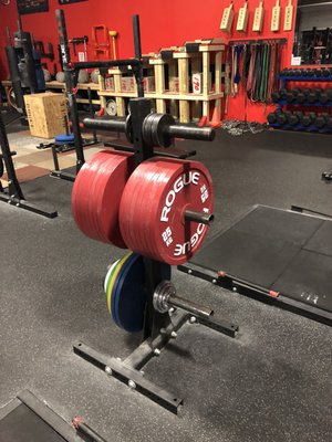 Spindell Barbell Club