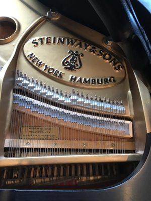 Steinway, Baldwin, Yamaha, Kawai and many more!