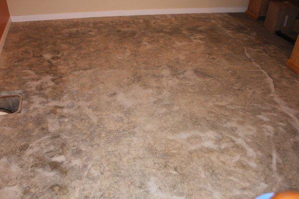 Basement floor carpet removed