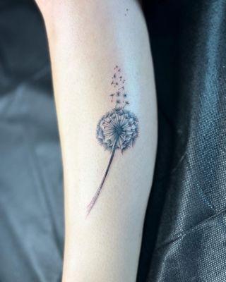 Delicate dandelion