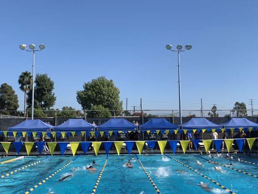 STOP swim meet