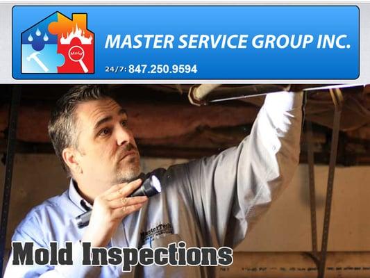 Mold Inspection Services