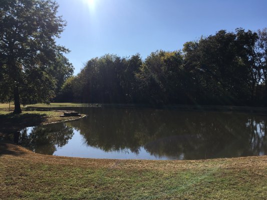 Pond we built in Broken Arrow 2 years ago.