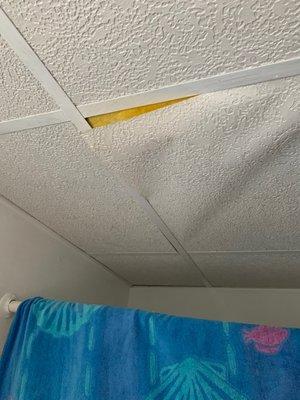 Ceiling panels falling in bathroom