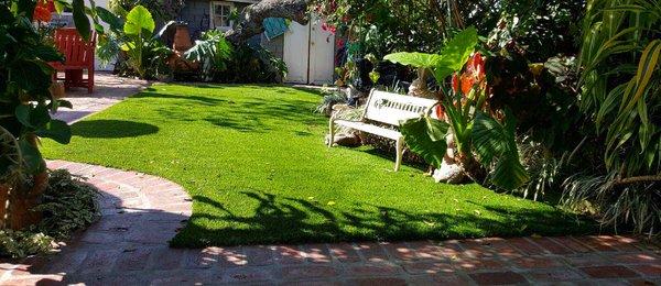 Grass with cement walkway and white bench