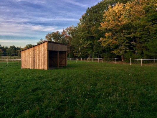 Our beautiful horse paddocks in the fall