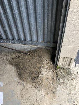 Animal burrow in our storage unit.