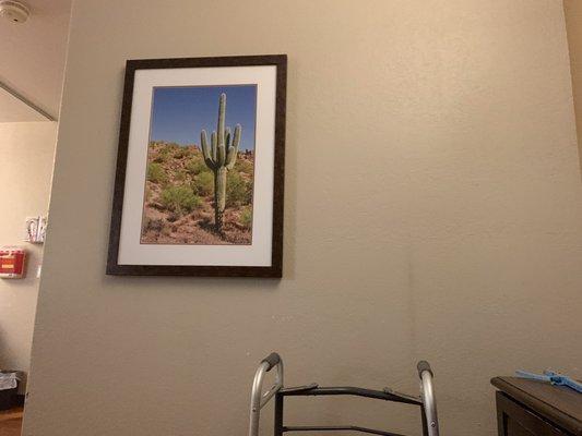 Small Nightstand to the Right, And this AZ desert photo.