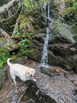 Doyles River Falls Trail