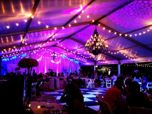 Beautiful Lighting we provided in Pink & Blue!