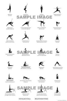 Poses (asanas) for a typical beginner class.  Varies weekly.  Don't miss out on your favorite pose :)