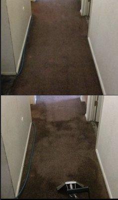 Standard Carpet Cleaning