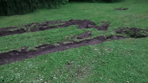 When someone damages your lawn you need repair. Hydro seeding this year, is the new comer CHQ Stumps and Landscape.