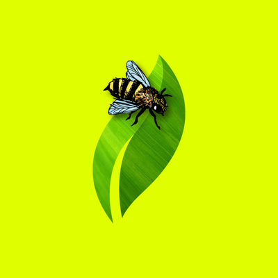 HoneyBee Organic Plant Care