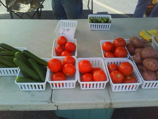 English cucumbers, beautiful red tomatoes; whole basket for $2