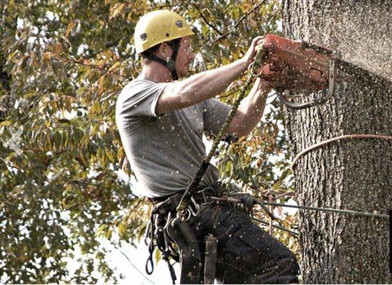 Lowery's Tree Service