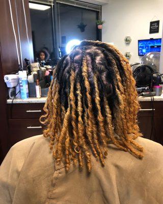 Locs start up