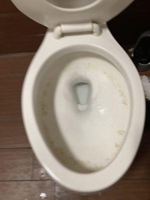 Toilet in the ladies room looks like it hasn't been cleaned in a week!