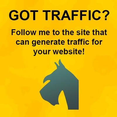 Got traffic? Need traffic? Follow Five Dog Solutions to traffic.