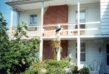 Courtyard rooms with balconies