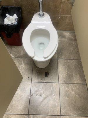 Yes that's shit on the floor!