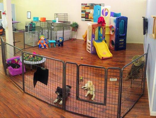 Our small dog play area