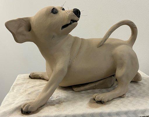 Life size Ceramic Sculpture Portrait of our Chiweeni,  made by me recently !