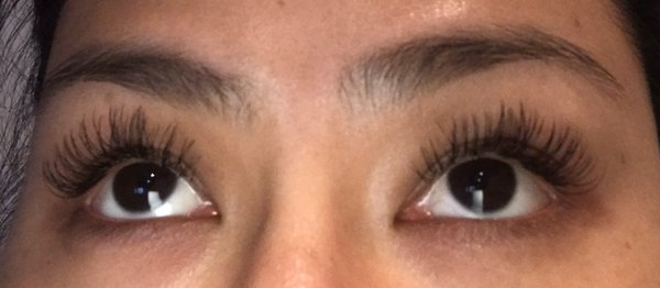 Just got the lashes done. No makeup.