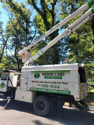 Tree trimming