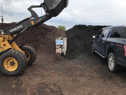 Black Mulch (right) and Brown Mulch (left)