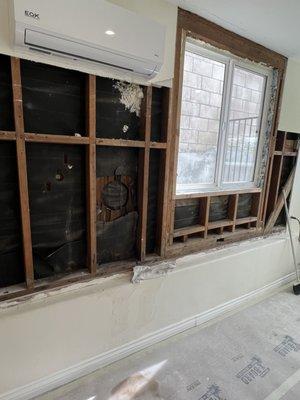 Mold remediation