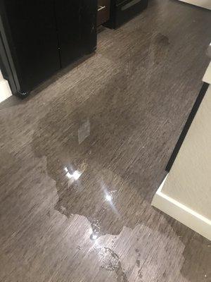 Sewage yet again on the floor of my "luxury" apartment