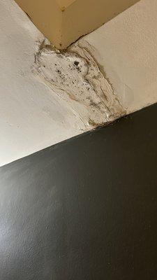 Black mold