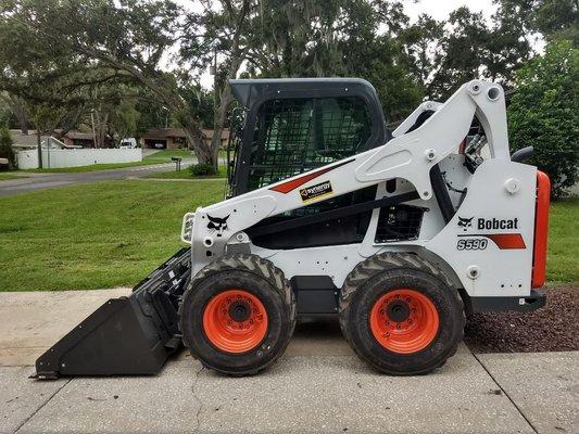 Land clearing and tree removal