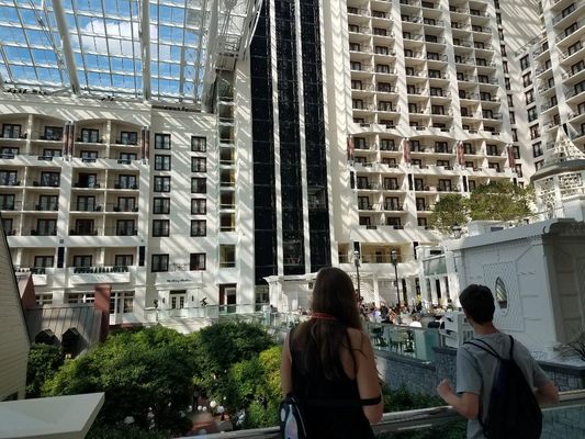 Atrium at Gaylord Palms