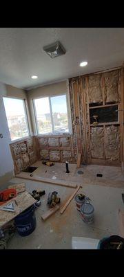 1. part of the beginning of the remodeling of the shower