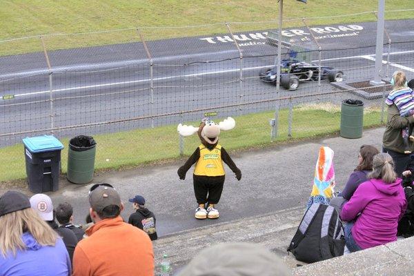 mascot making rounds