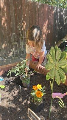 How does your garden grow? We love learning about the life cycle of plants.